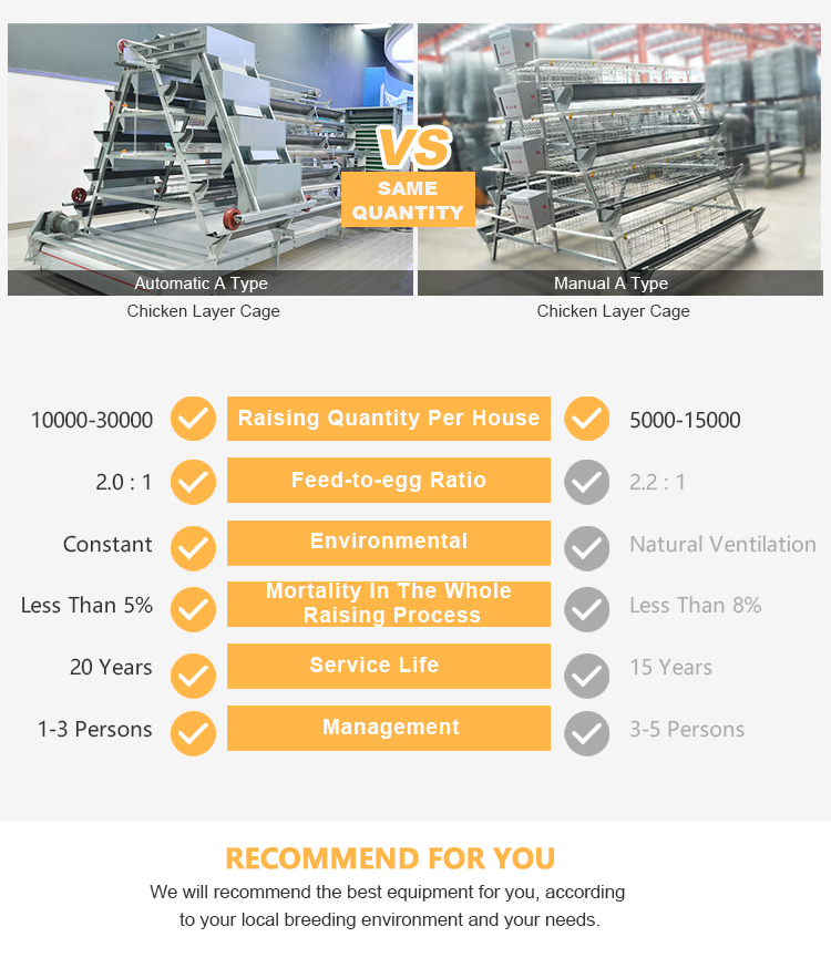 choose A-type layer cage