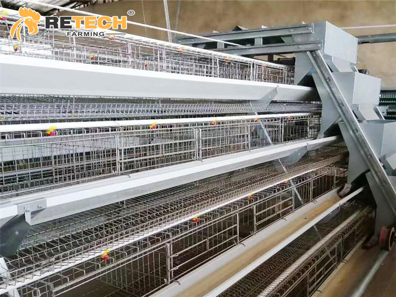 A type layer cages