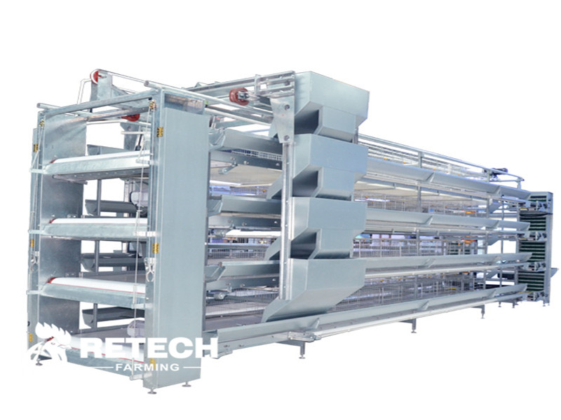 Automatic chicken cage