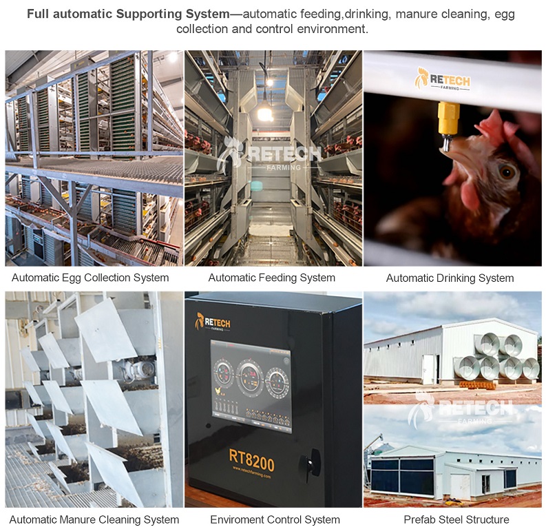 feeding system