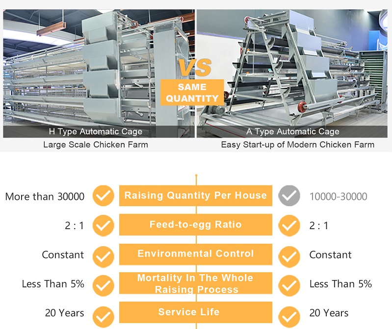 H Type layer cage