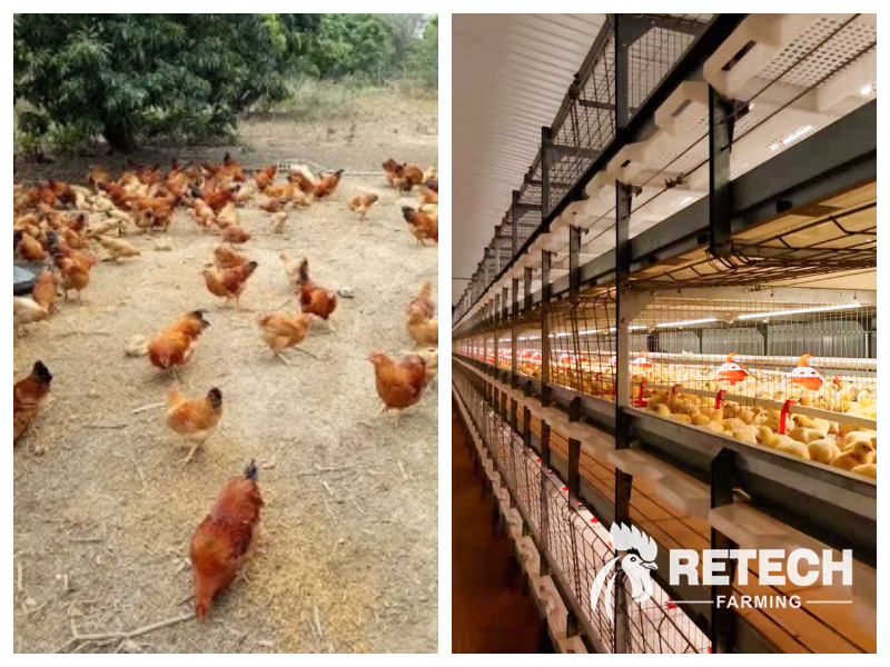 closed chicken house