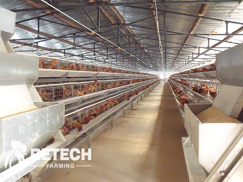 poultry farming in Nigeria