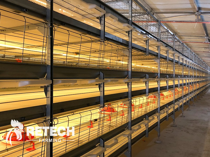 broiler chicken house