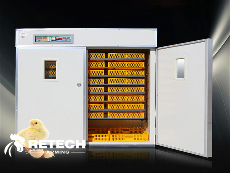 egg-incubator