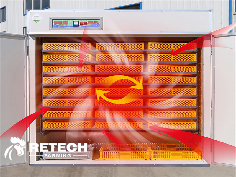 egg incubator 2