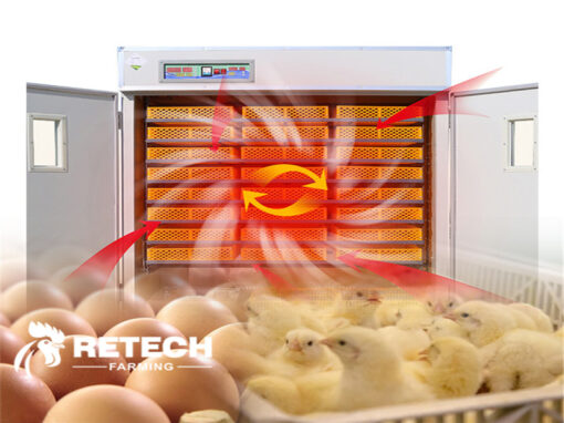 Egg hatching machine management program.