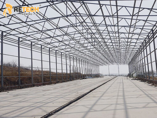light steel structure chicken house