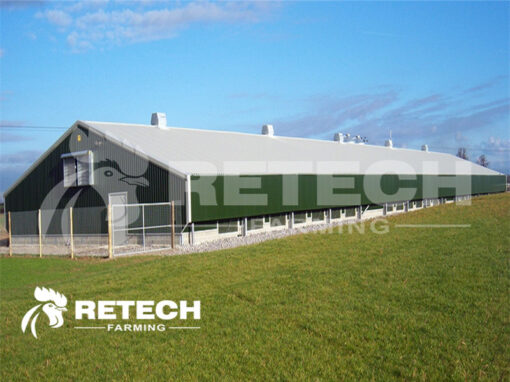 chicken farm